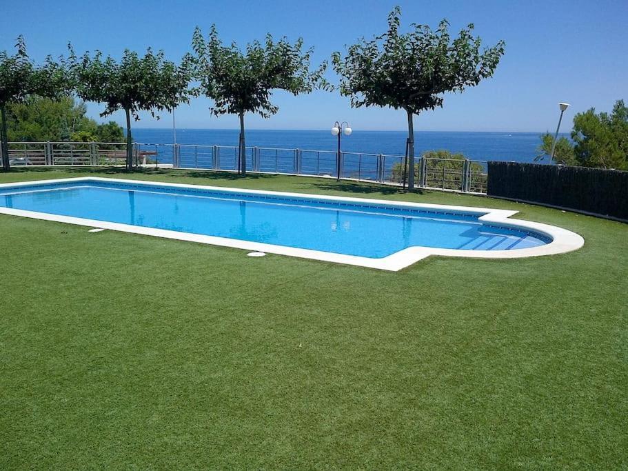 Residence Avec Piscine Face A La Mer, 1Ere Ligne Llança Eksteriør bilde