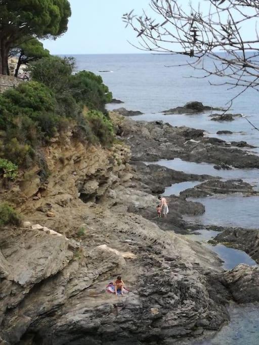 Residence Avec Piscine Face A La Mer, 1Ere Ligne Llança Eksteriør bilde
